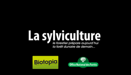 Découvrez la sylviculture avec Biotopia