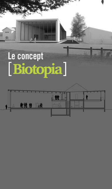  Biotopia